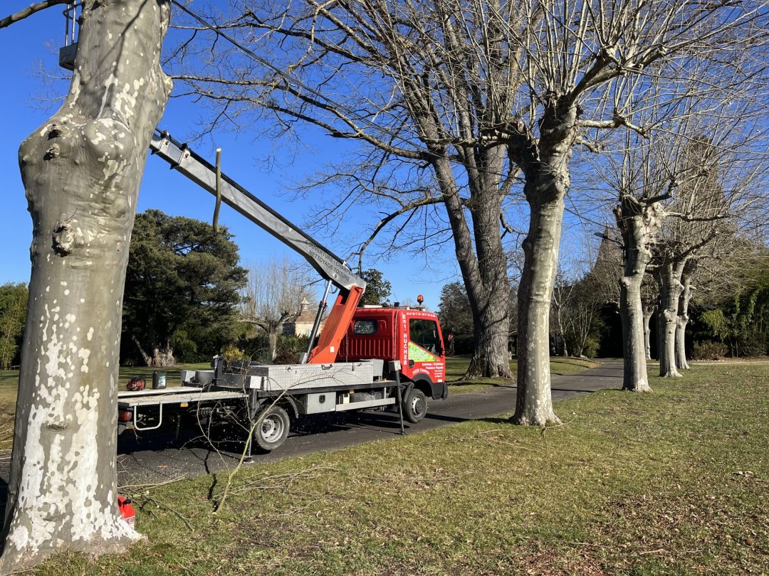 Un camion rouge équipé d'une grue est stationné sur un chemin, bordé de grands arbres dénudés, sous un ciel d'un bleu limpide. La scène évoque des travaux d'entretien et une atmosphère paisible.